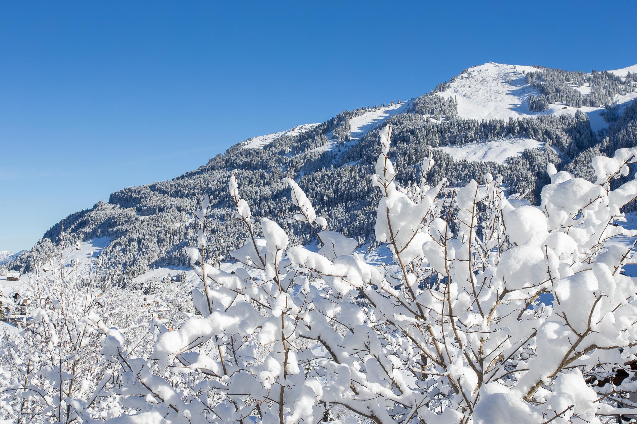 winterlandschaft