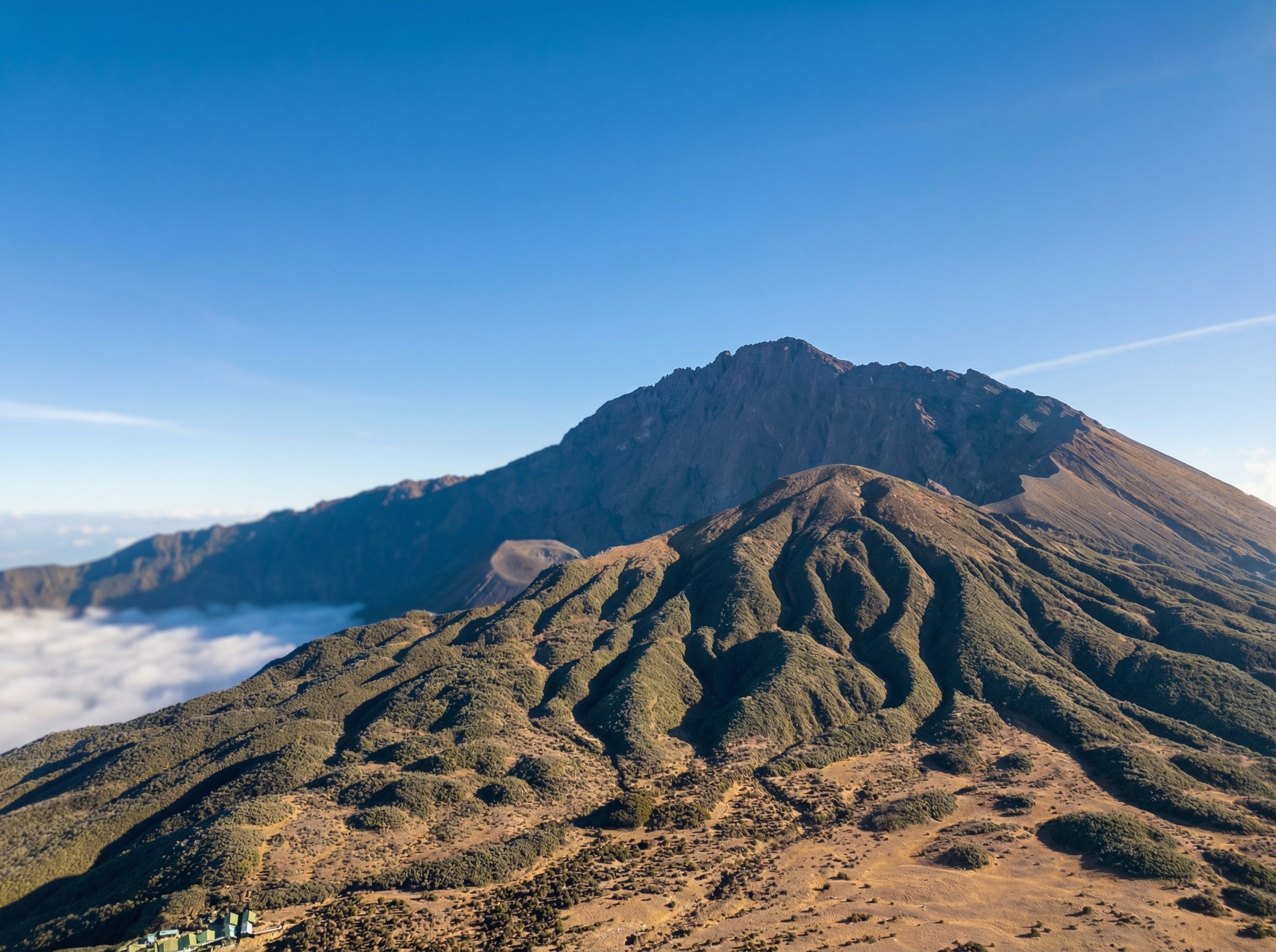Collection of AlUla desert landscapes — golden dunes, sandstone cliffs, and authentic travel moments captured under natural light.