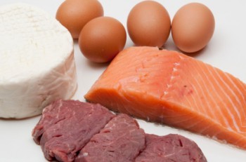 common sources of protein