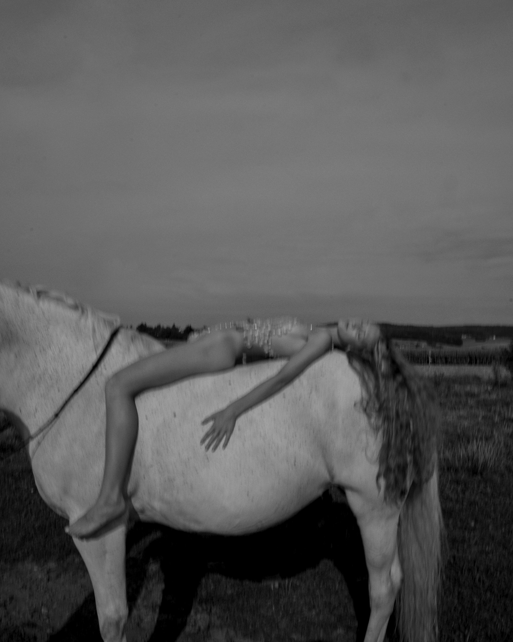 Sasha with horses by DIE IDA