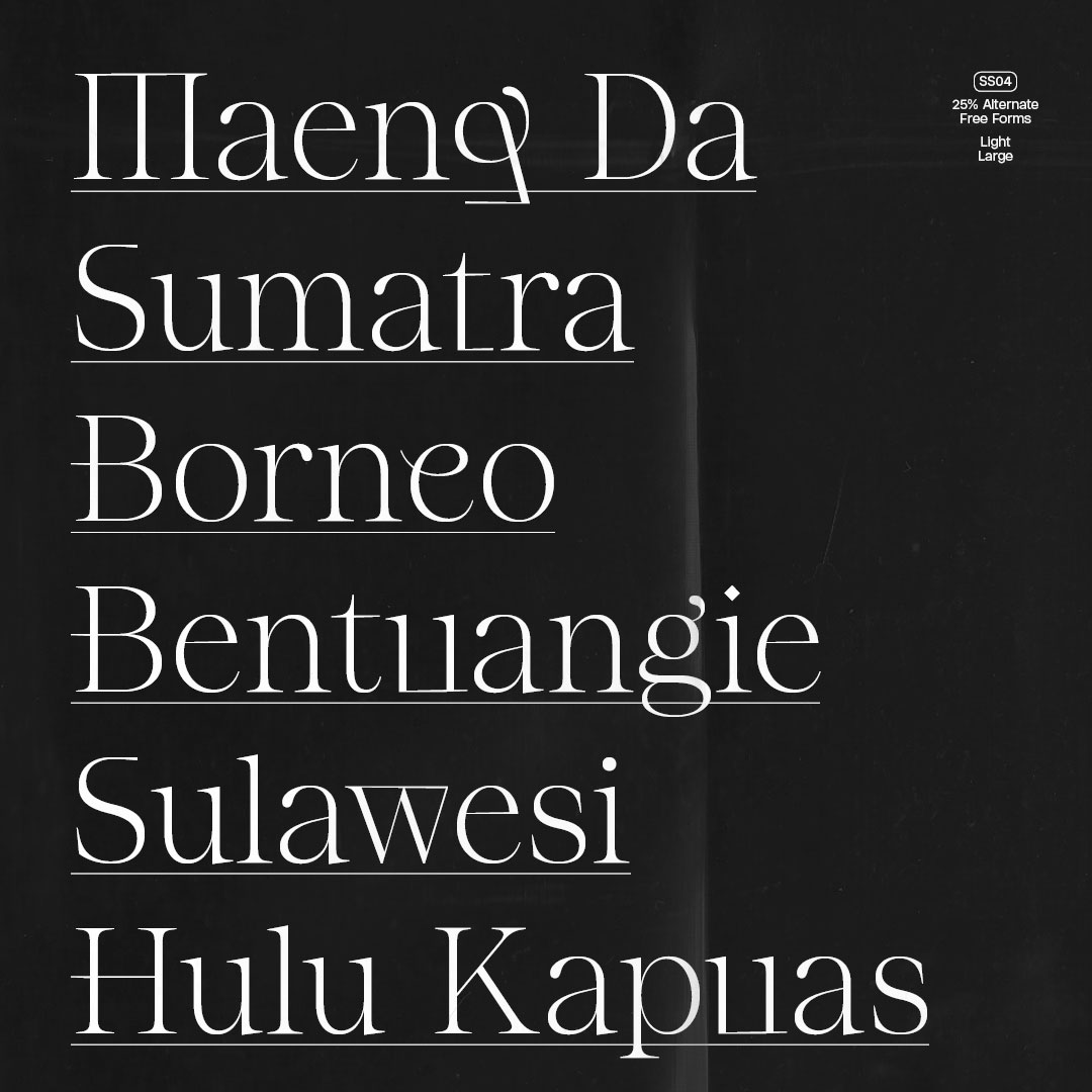 various sample words set in Residenz Serif Large Light with alternate letter forms in white on textured black