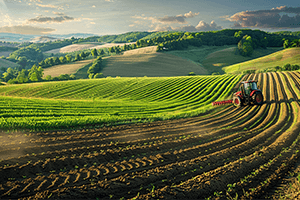 scientist doing rechecking