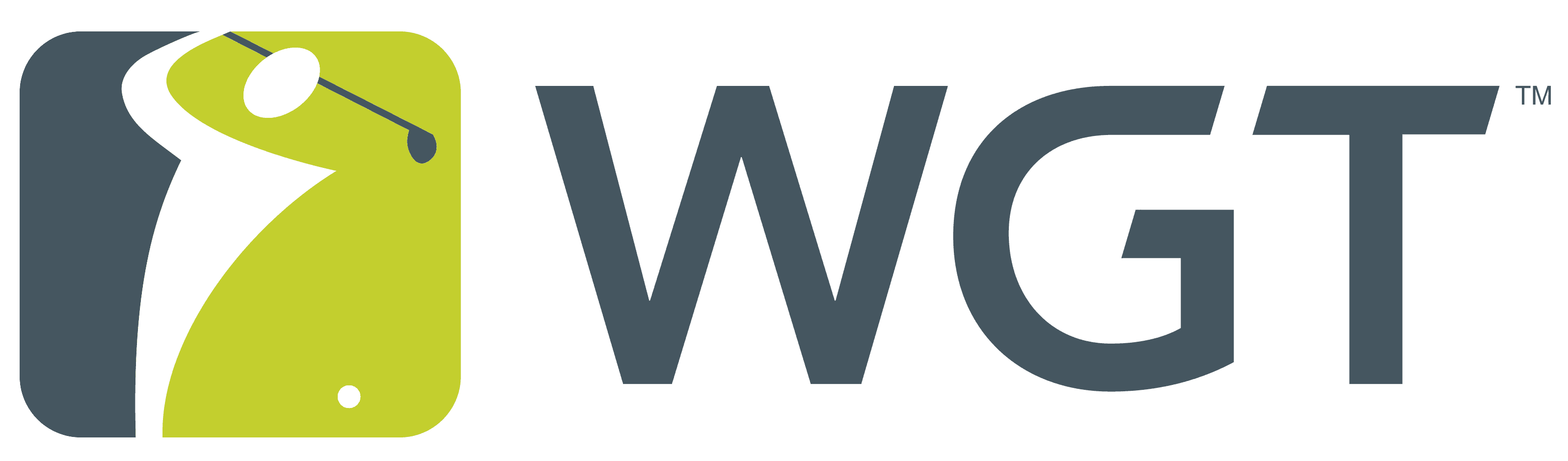 Logo for WGT - agolf game