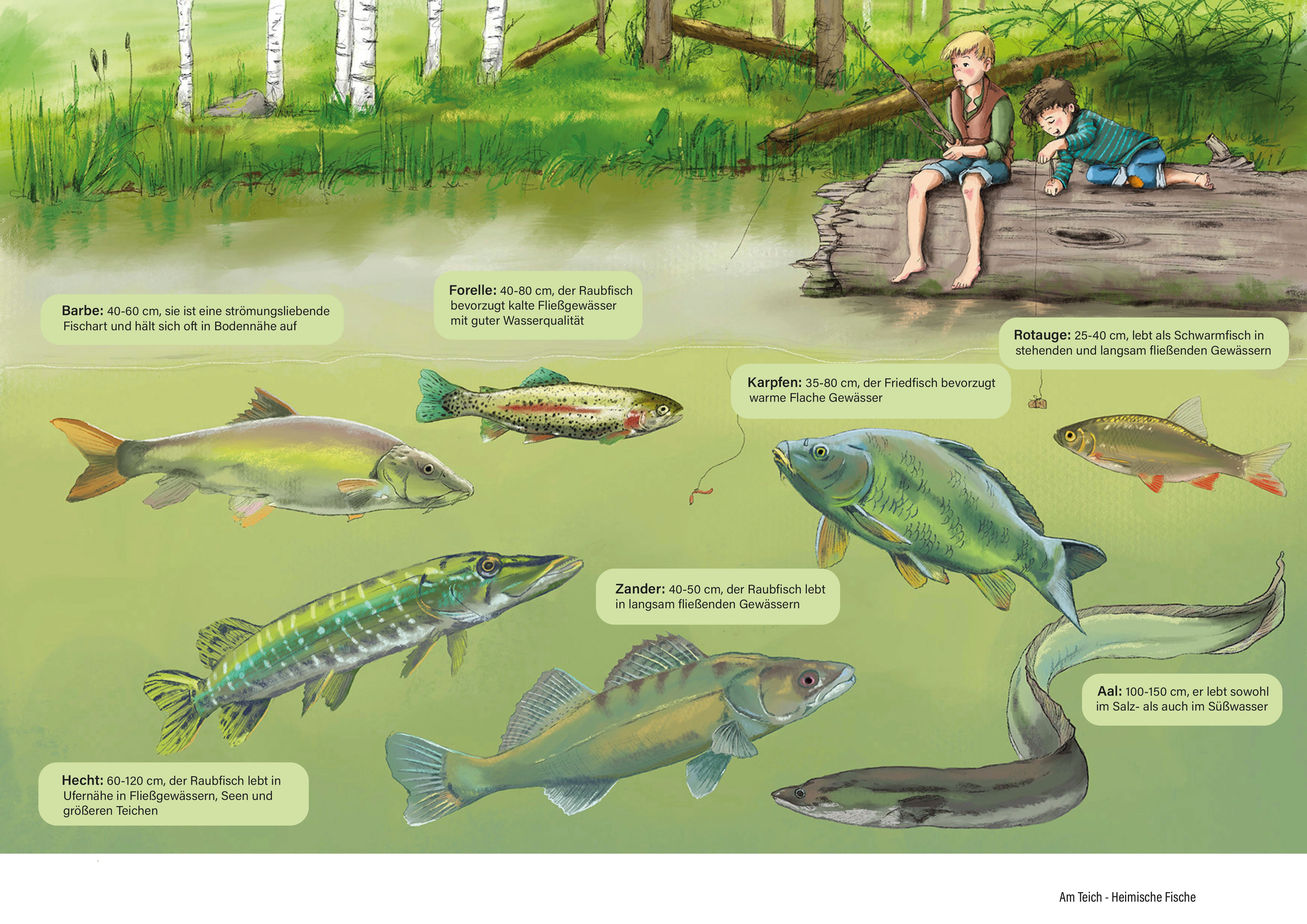 zwei Kinder angeln. Im Teich sind viele Fische zu sehen