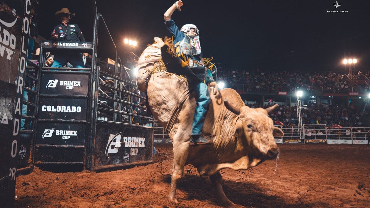 image of a rodeo