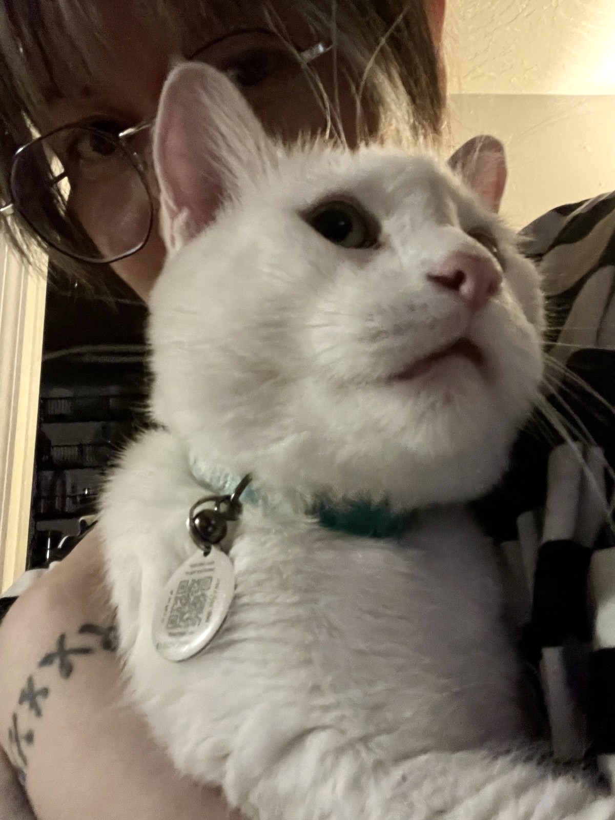 mochi