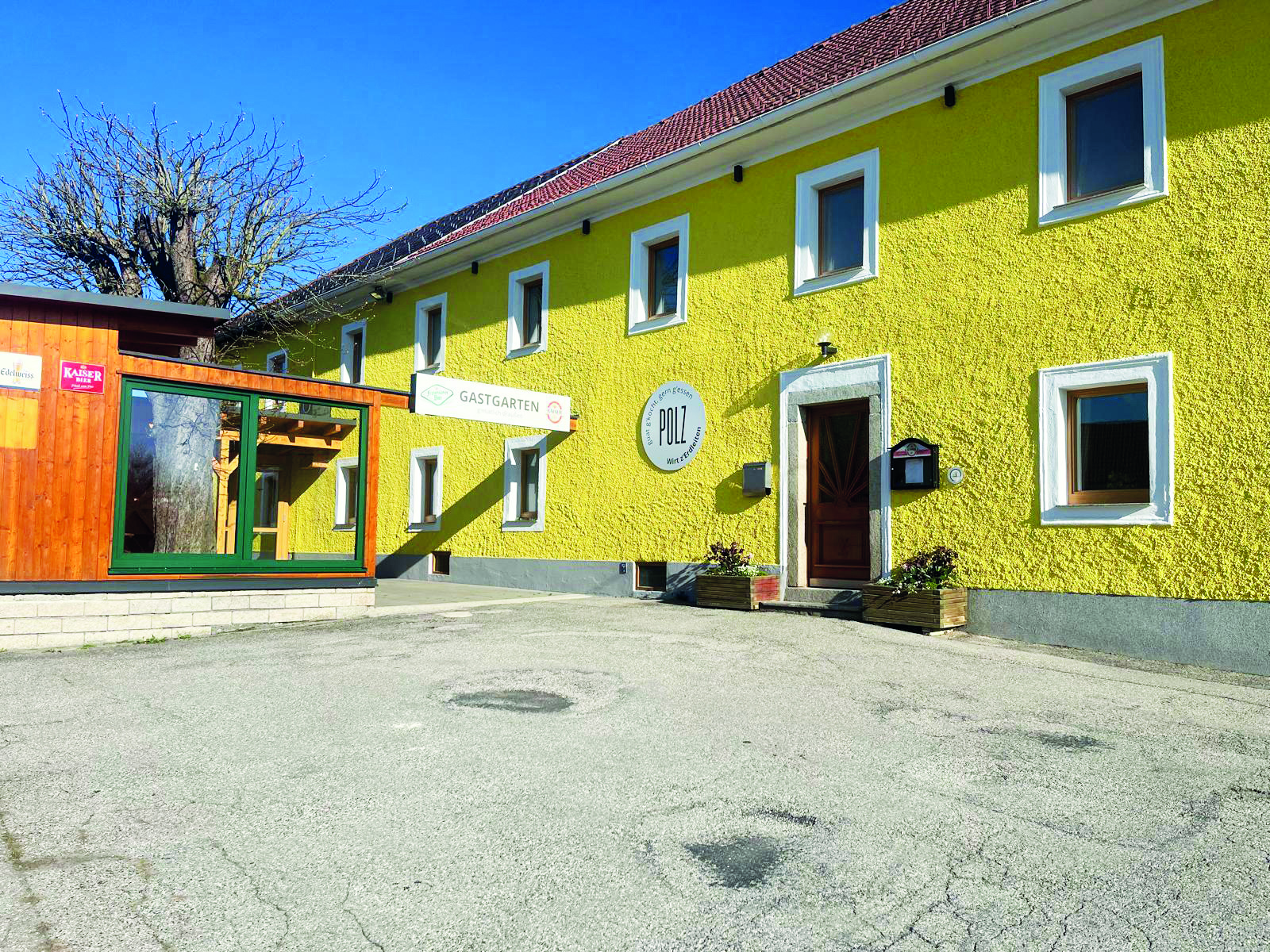 Close-up of lush, dark green leaves, some glossy and wet, against a muted background.