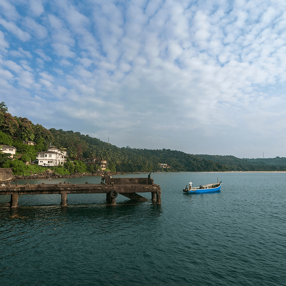 <img src="jungle-lake.jpg" alt="A tranquil lake with greenish water surrounded by lush, dense jungle vegetation">