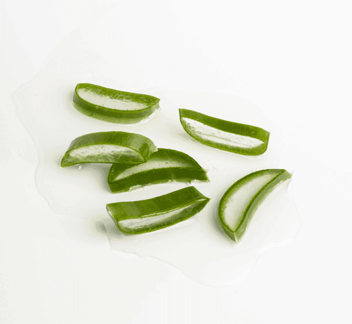 aloevera