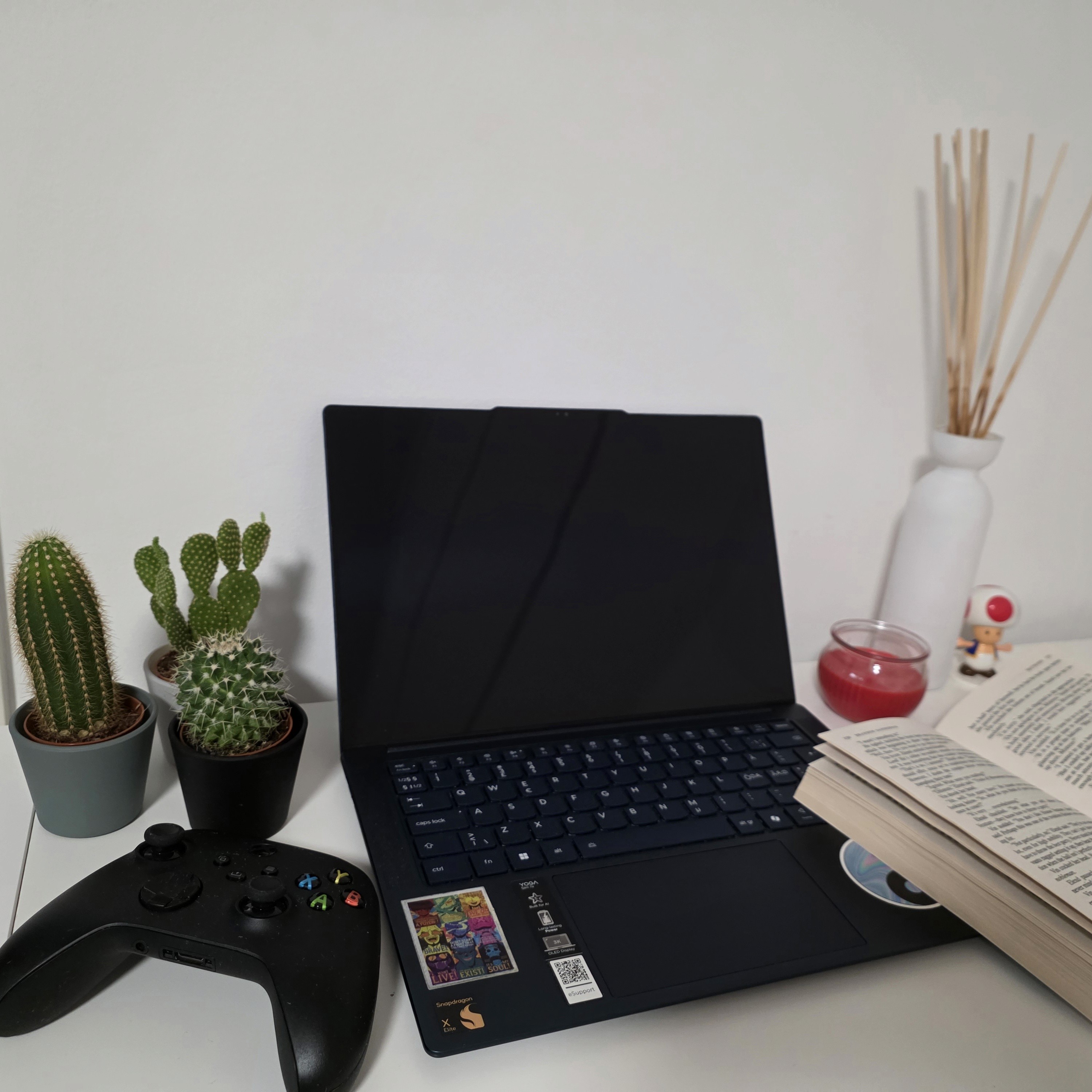 Picture of Yonca's desk