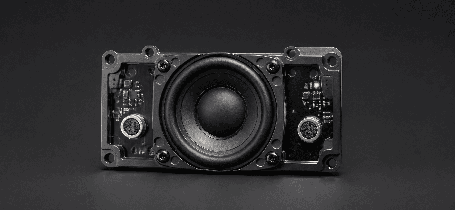 Speaker and microphone audio module