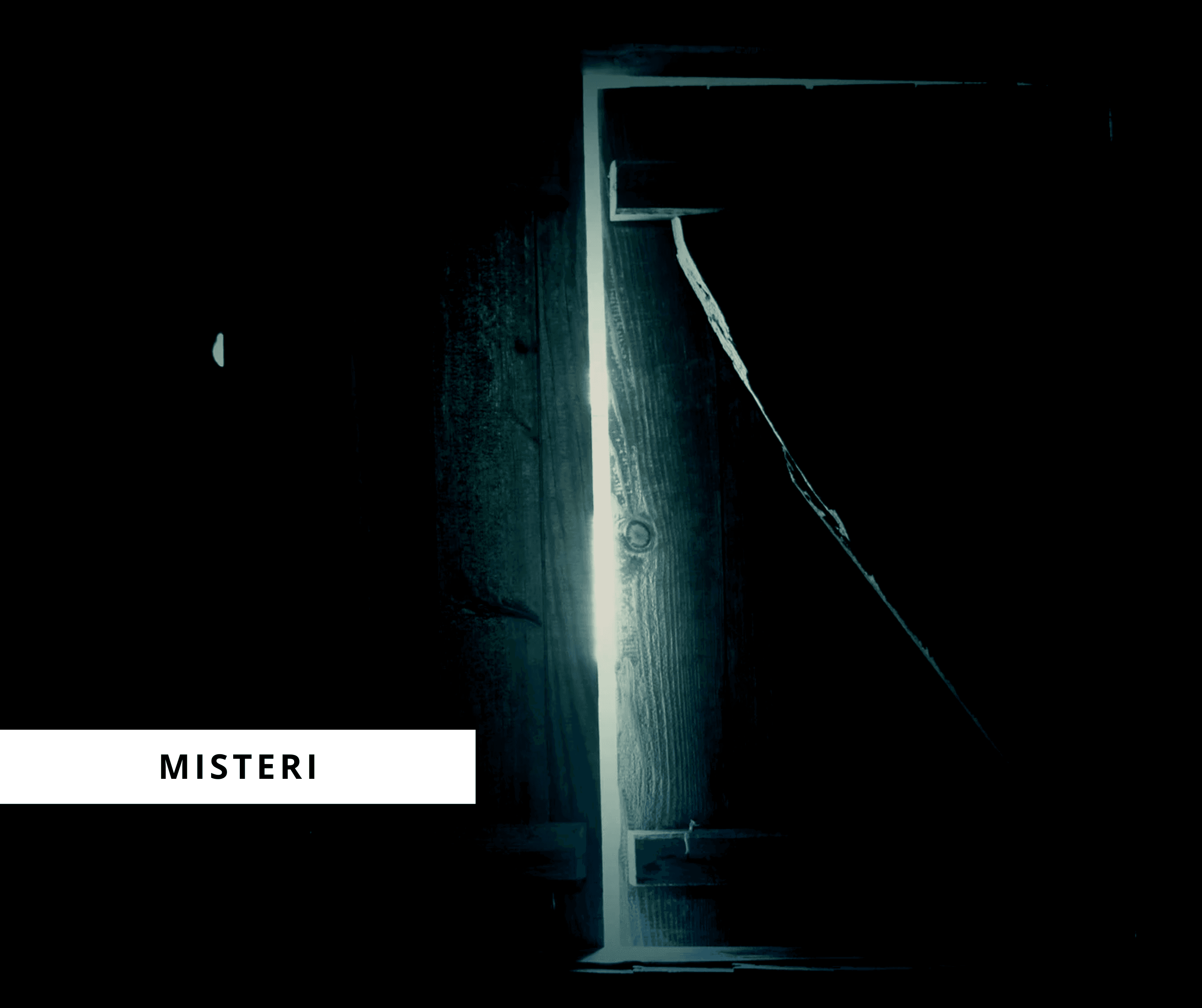 Image Post 1