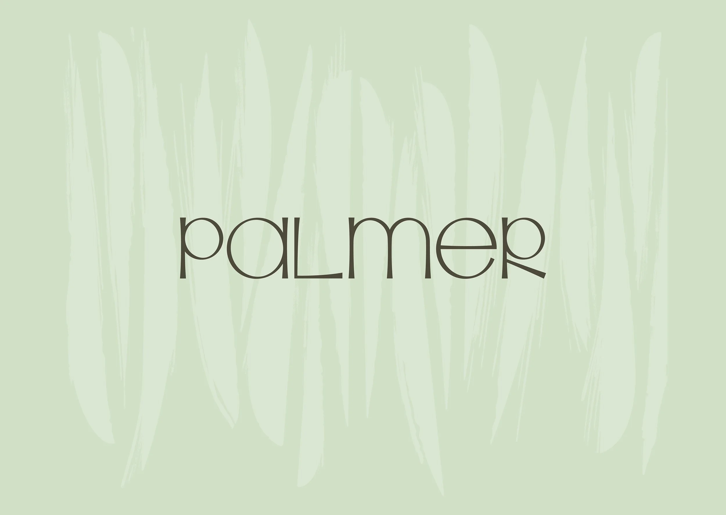 Palmer brand identity — 1