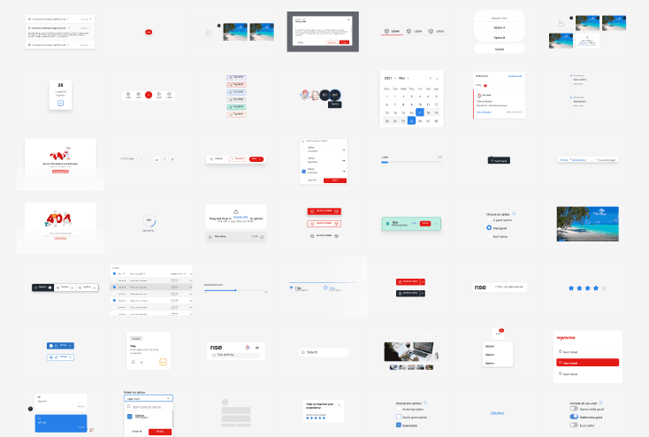 Grid of RISE component library screens showing the full range of UI components including navigation, forms, data tables, cards, and media elements across desktop layouts.