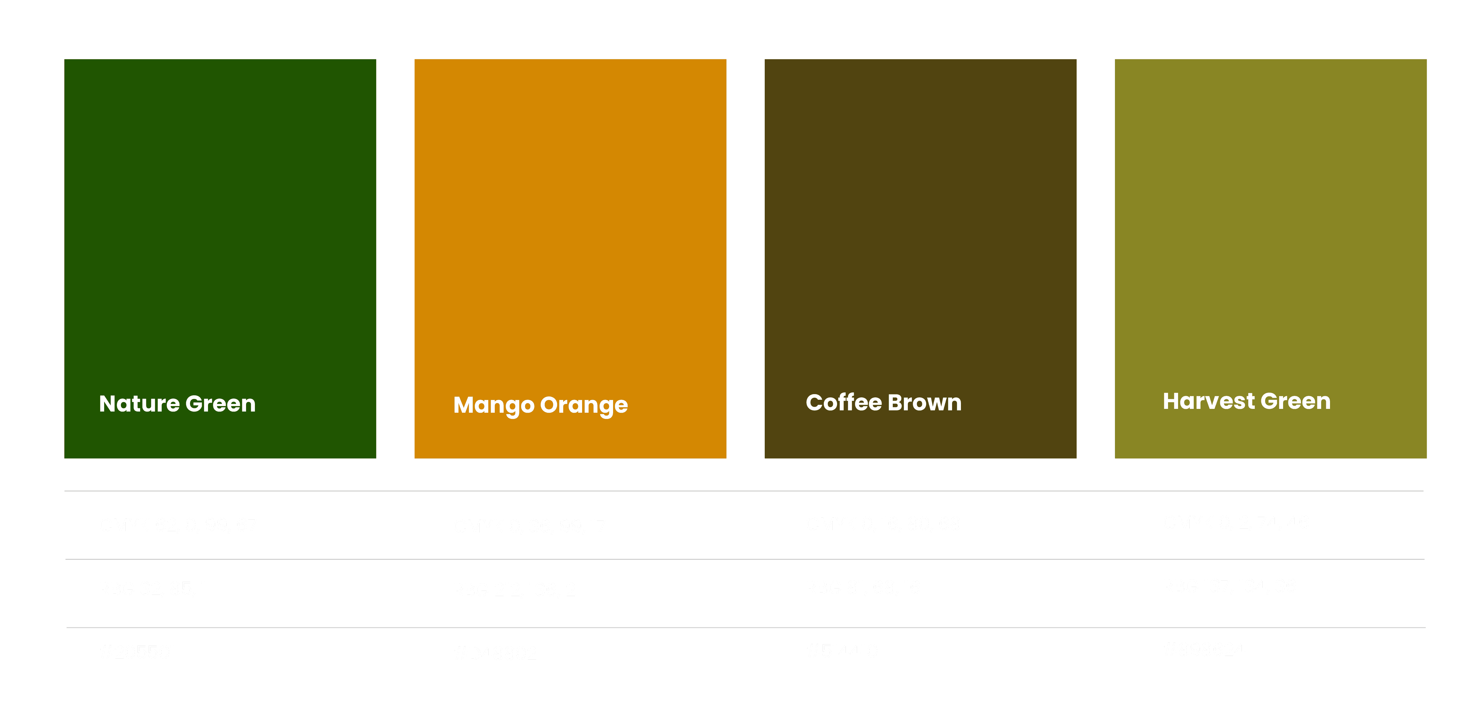 A palette that feels grounded, warm, and regional