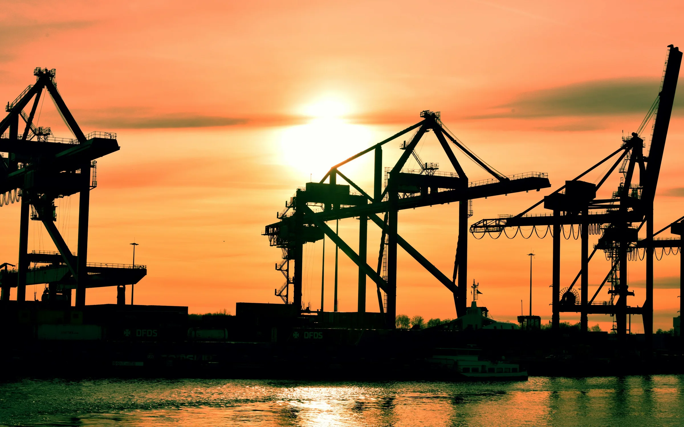 Freight Forwarding industry: digital products by Alpha Expansion