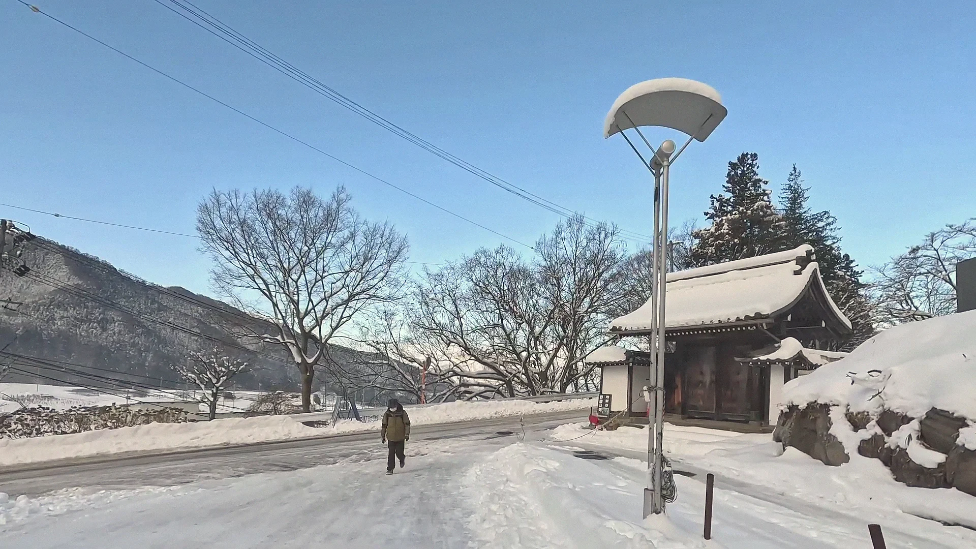 Snow-covered trees and quiet street in Yudanaka Onsen