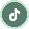 tiktok icon