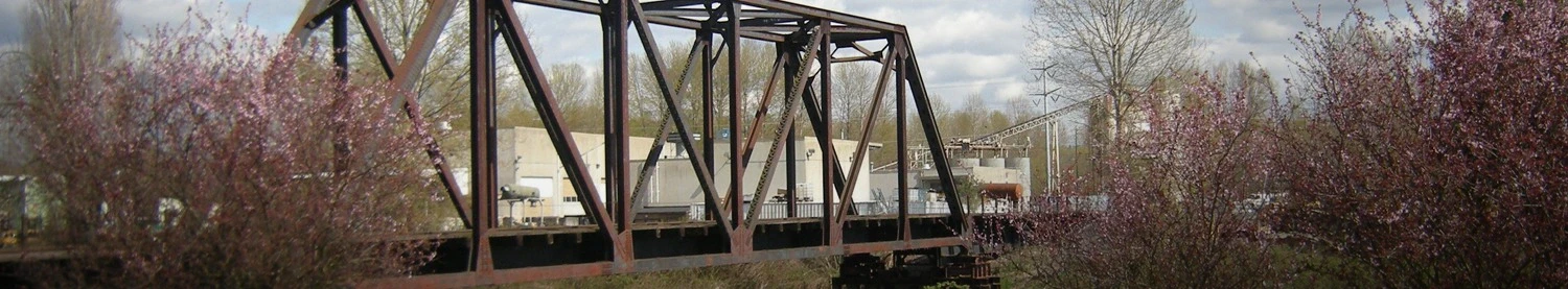 An industrial bridge in the City of Tukwila with some rusted metal areas. It is surronded by deciduous trees with sparse Fall-colored leaves across branches.