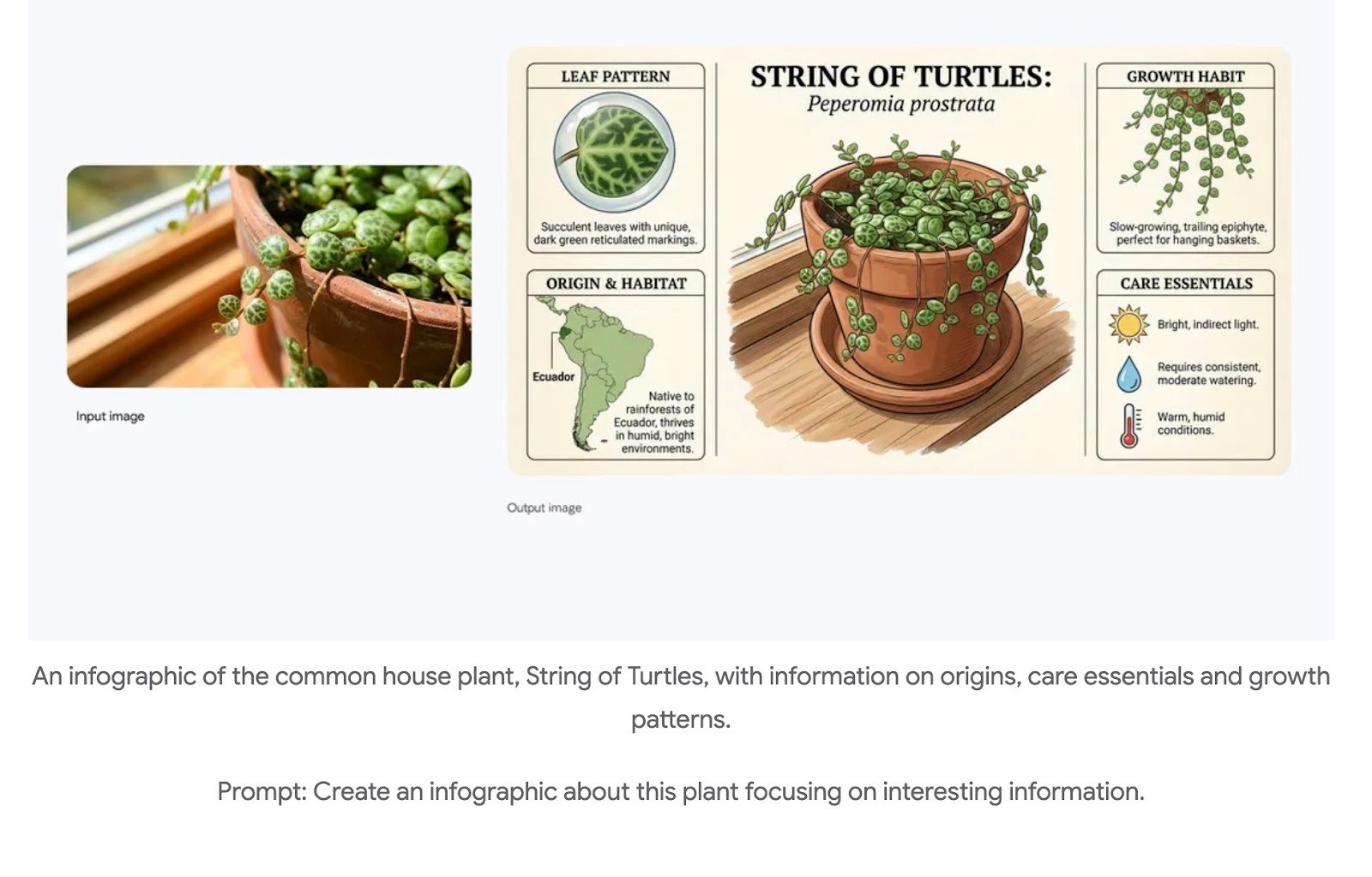 What is Nano Banana, and What Makes it Different from Older Image Generators?