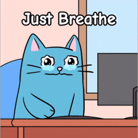 Overwhelmed cat at a computer — just breathe