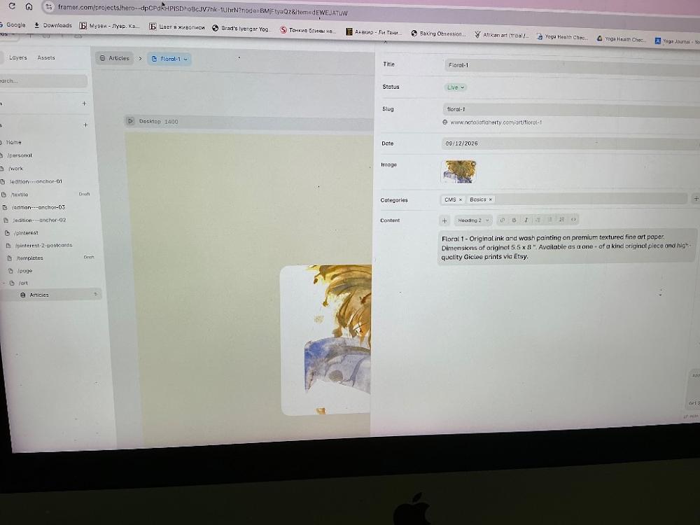 Visually searched image