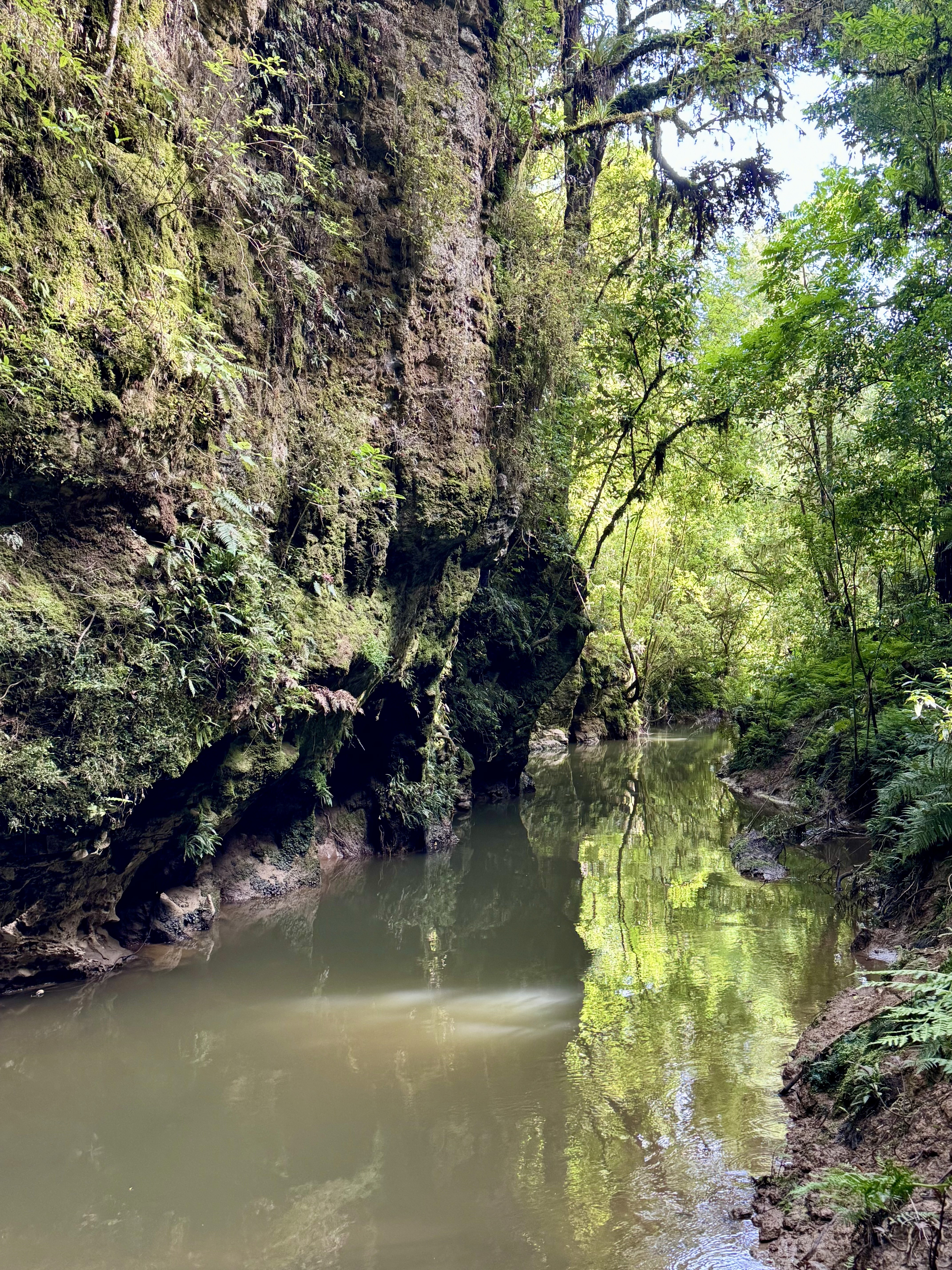 The Waitomo stream outisde the caves