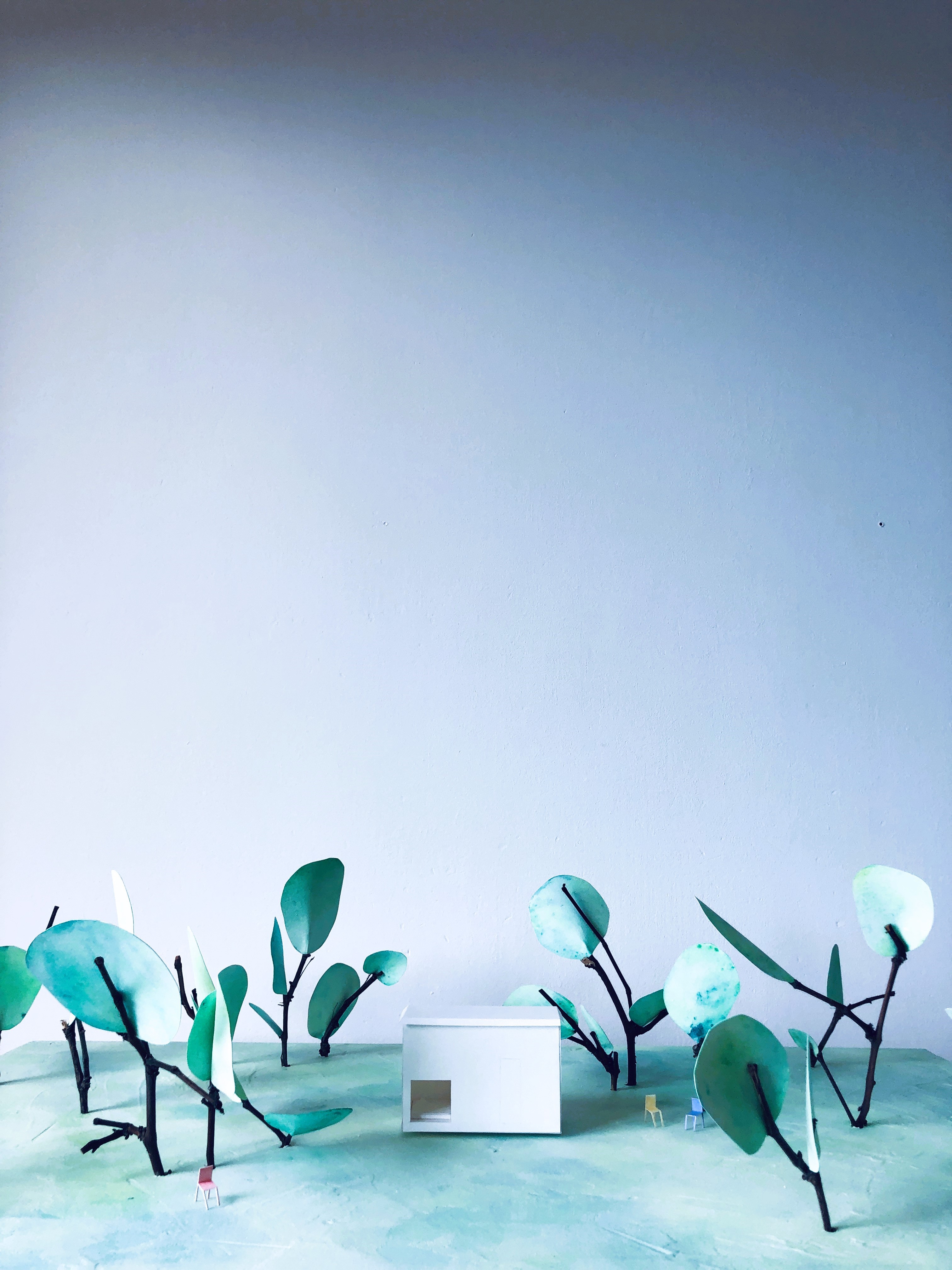 Tiny House maquette projet