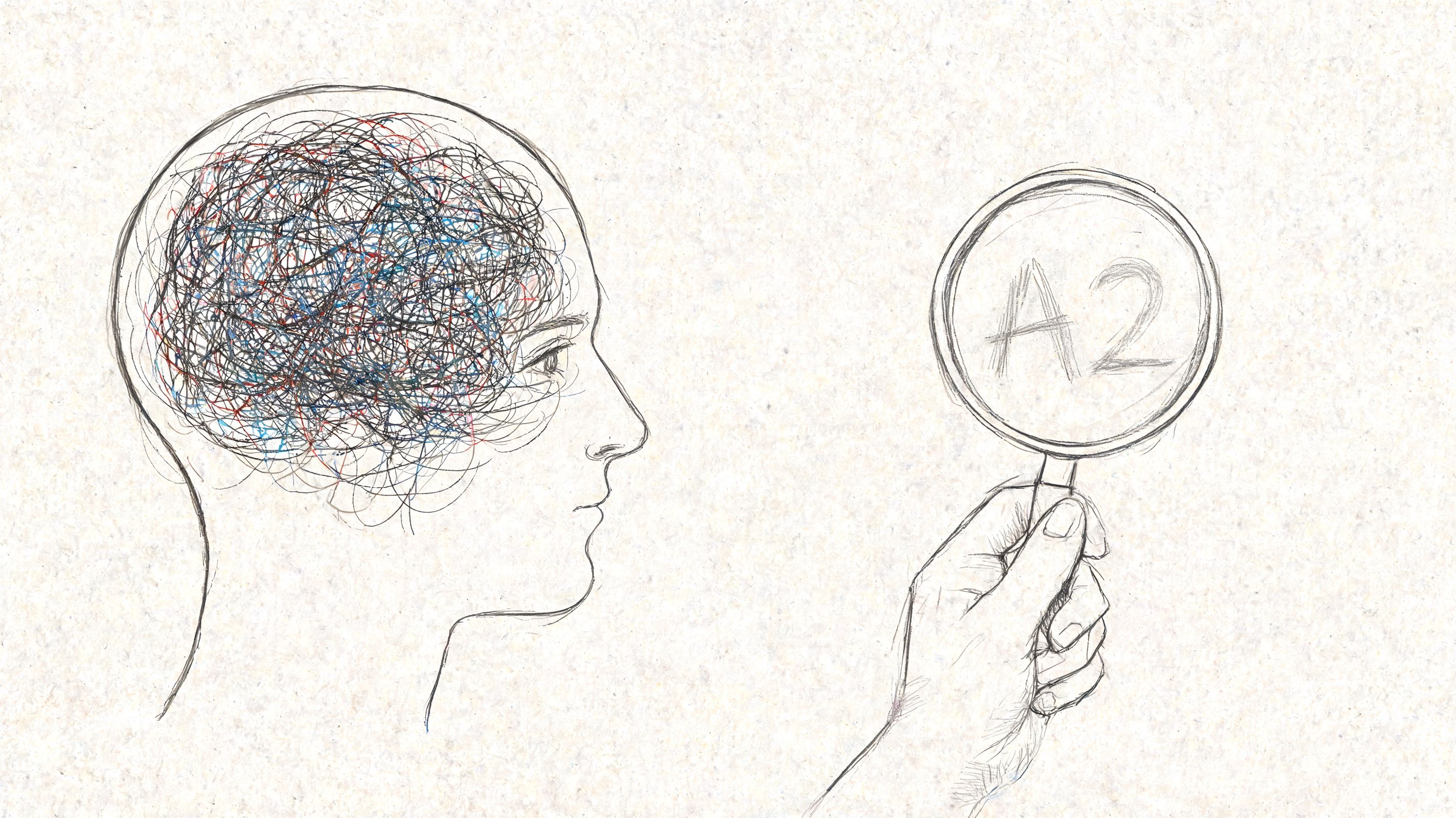 A pencil sketch of a human head with a tangled brain looking at an A2 grade icon.