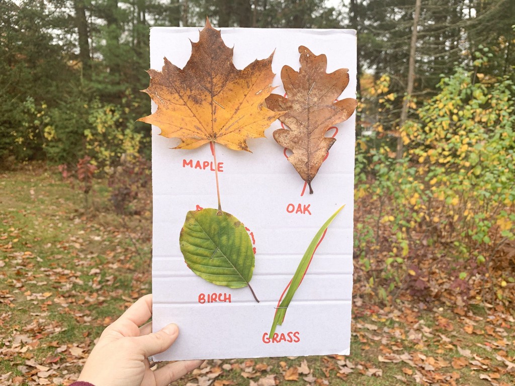11 Fun and Creative Fall Leaf Activities for Preschoolers, Toddlers ...