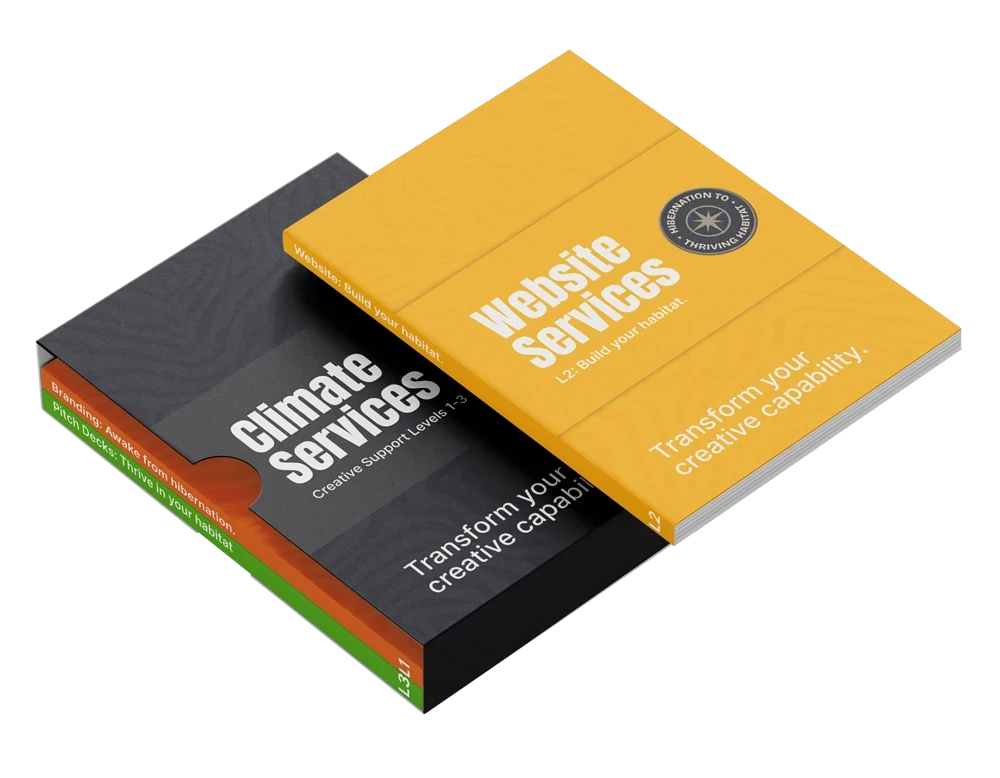 Website Services box set