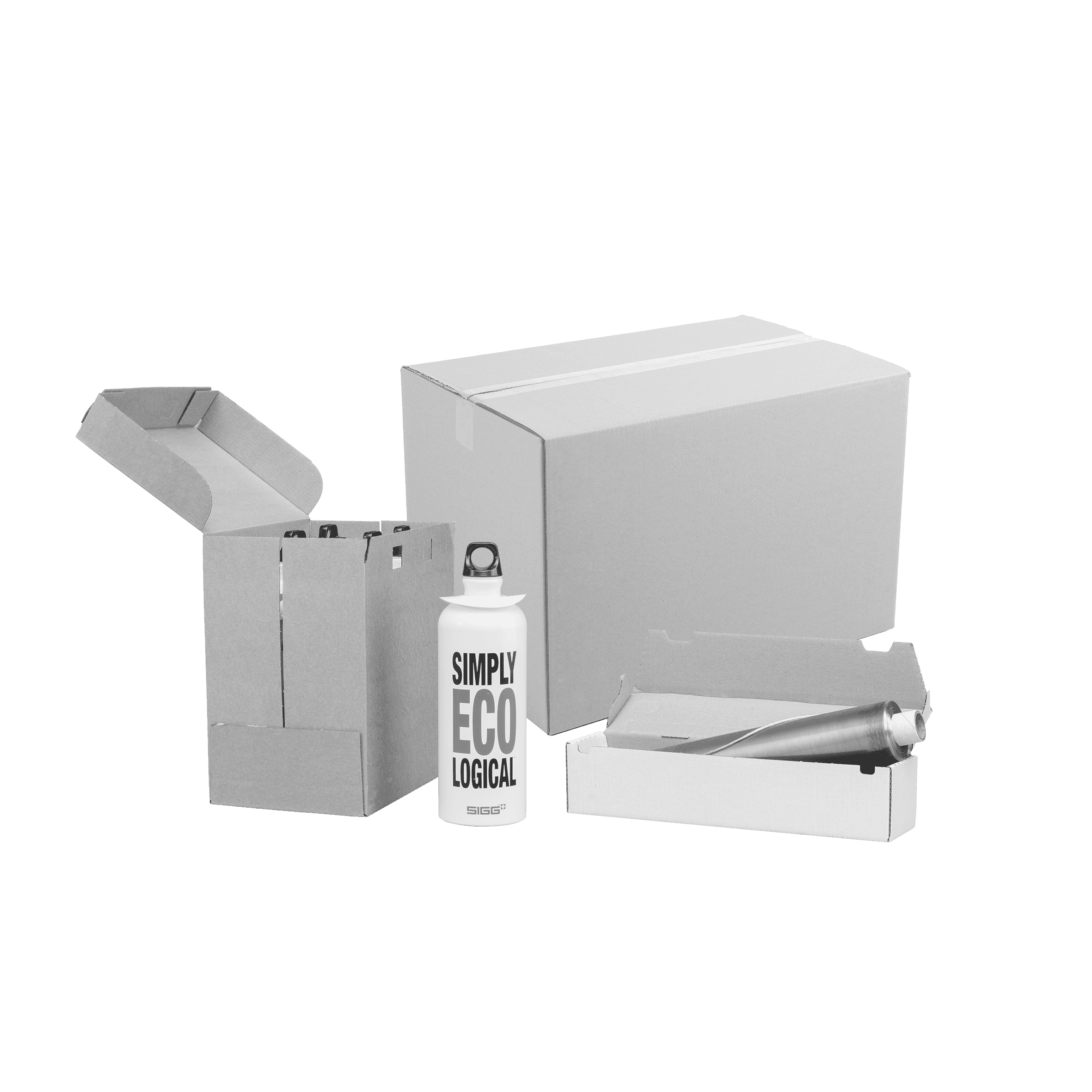 Eco-friendly packaging with bottle and cartons