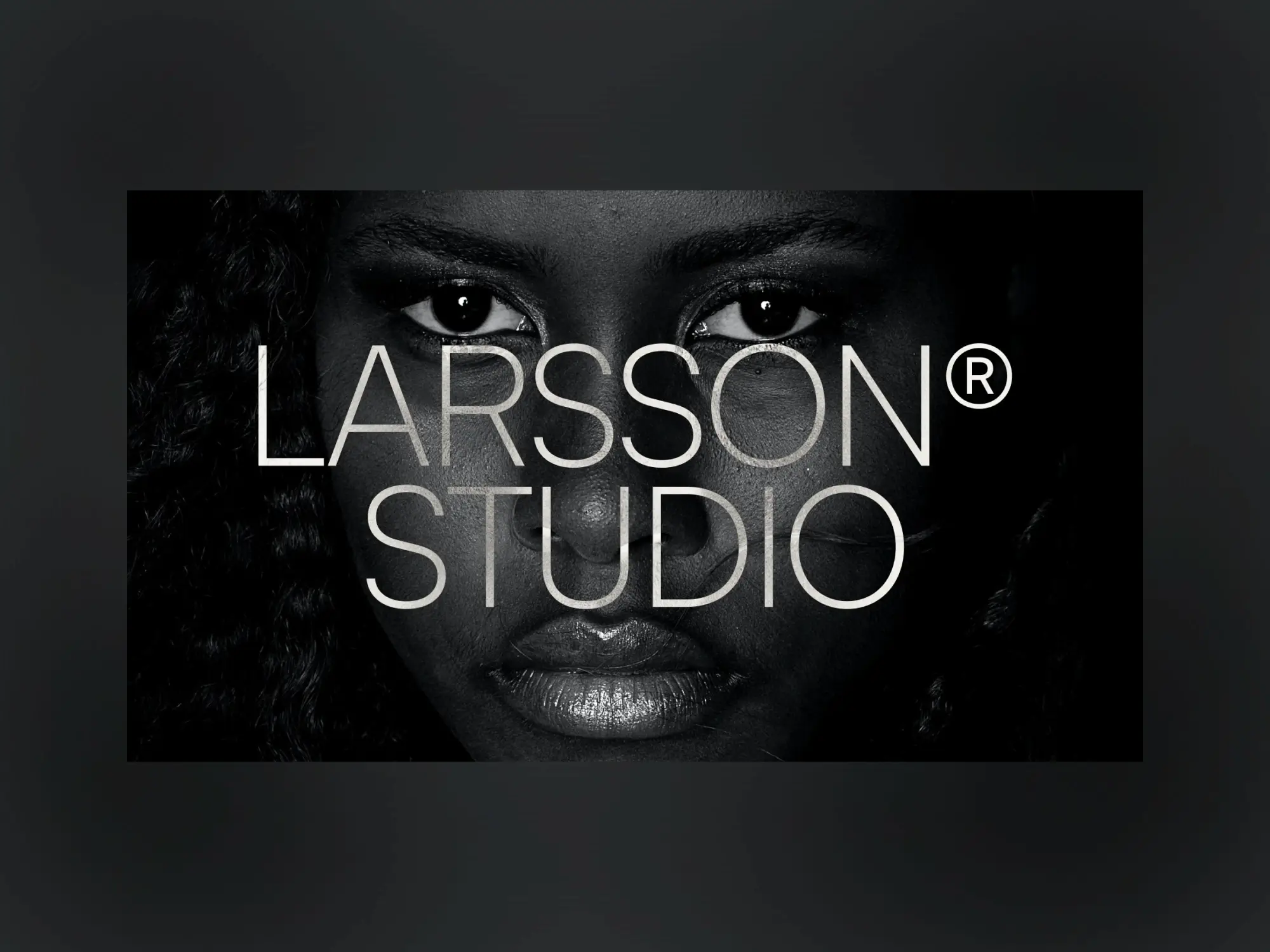 Larsson - Portfolio Website Template - Preview