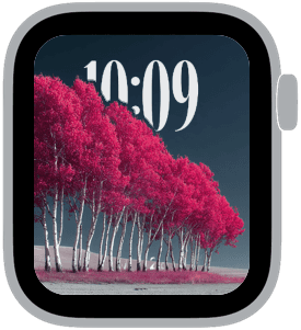 False Color Apple Watch face preview 2 featuring autumn.