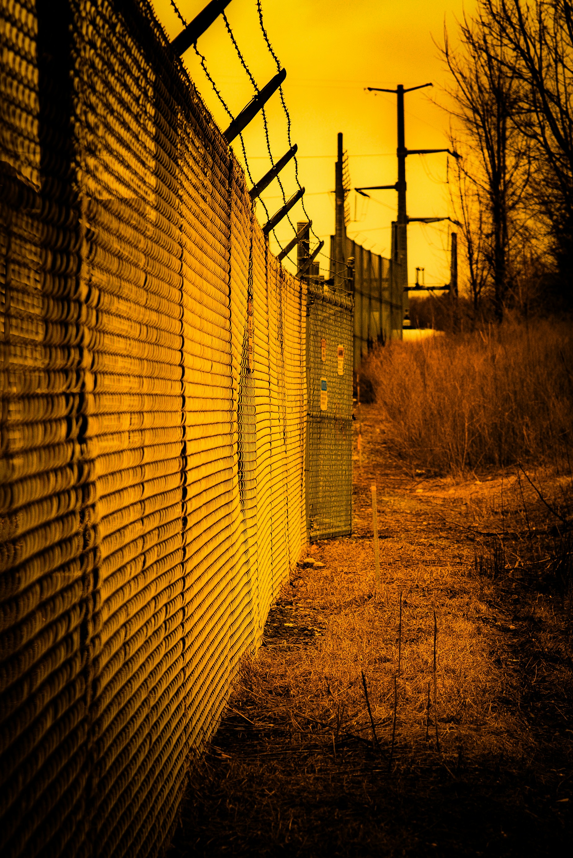 Barbed wire fence along a dry, overgrown path.