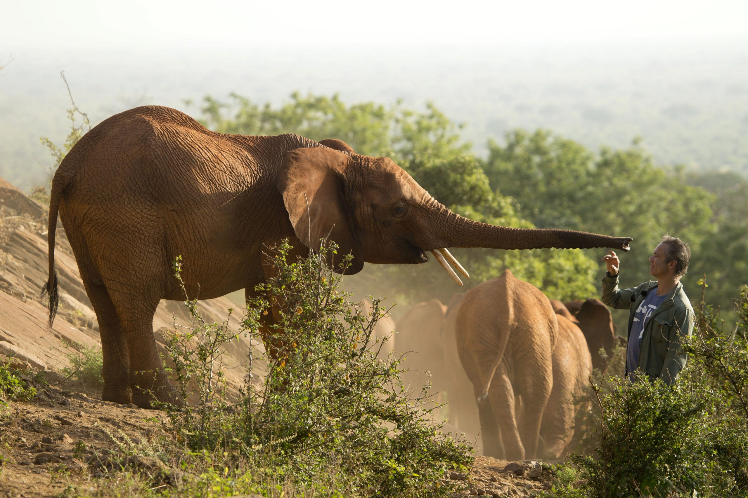  Ein Elefant berührt Hannes Jaenicke vorsichtig mit dem Rüssel – eindrucksvolle Begegnung im Schutzgebiet für bedrohte Arten.