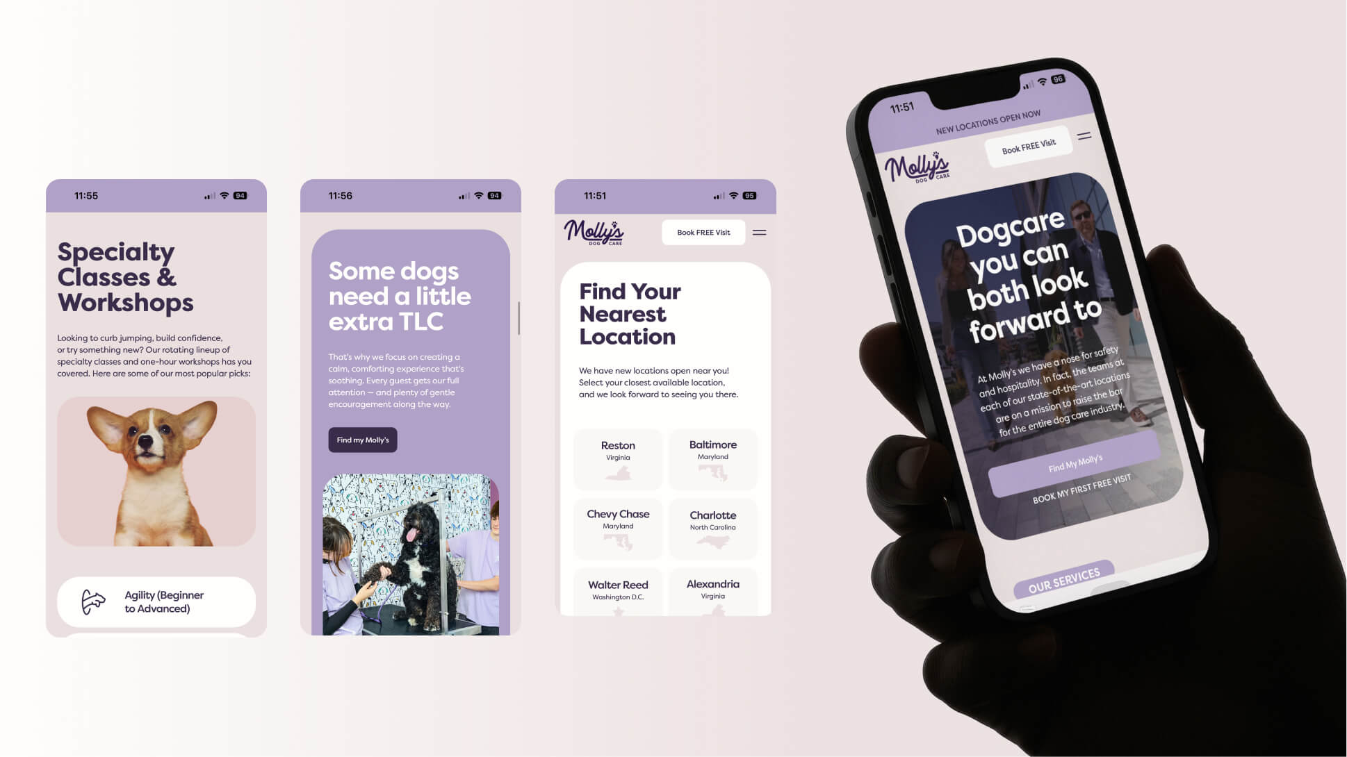 Molly’s brand and website design by Outerbloc