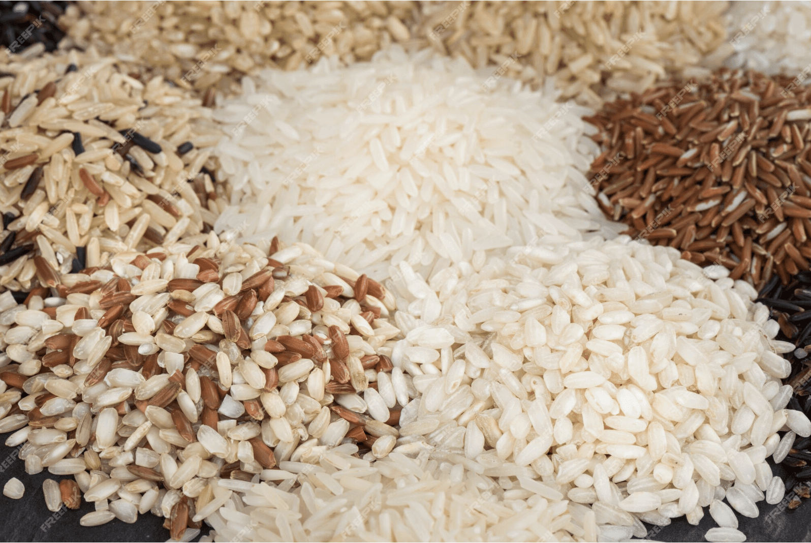 A picture of a lot of rice grains all put next to each other on a mat