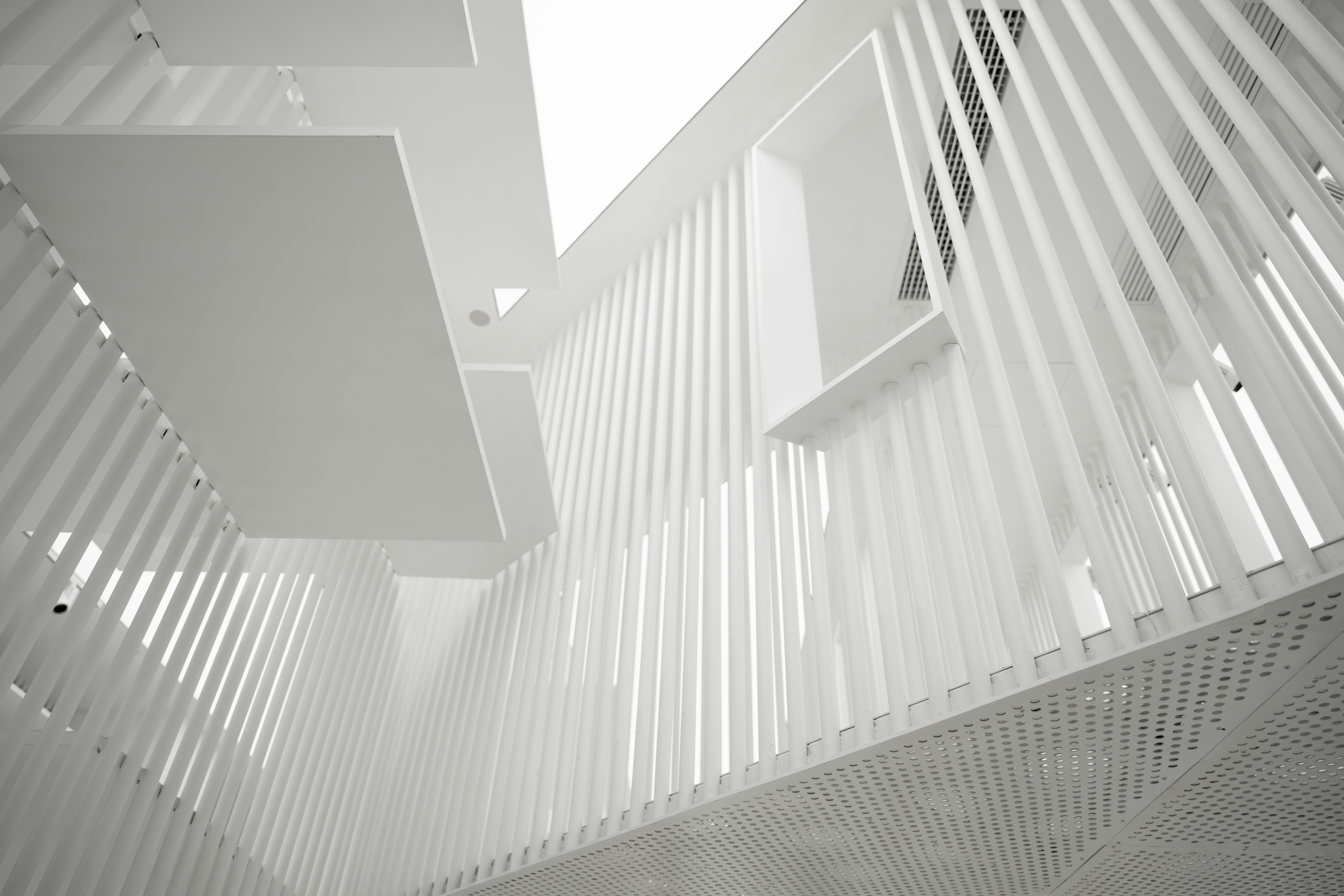 Portrait of portfolio creator