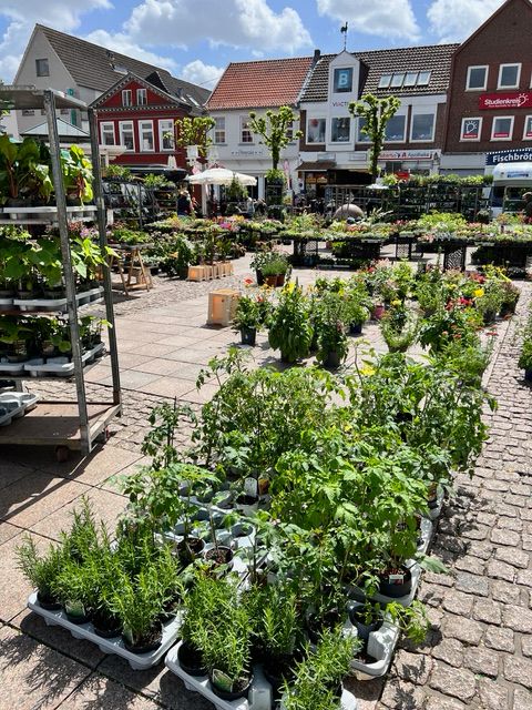 Blumenhändler am Wochenmarkt