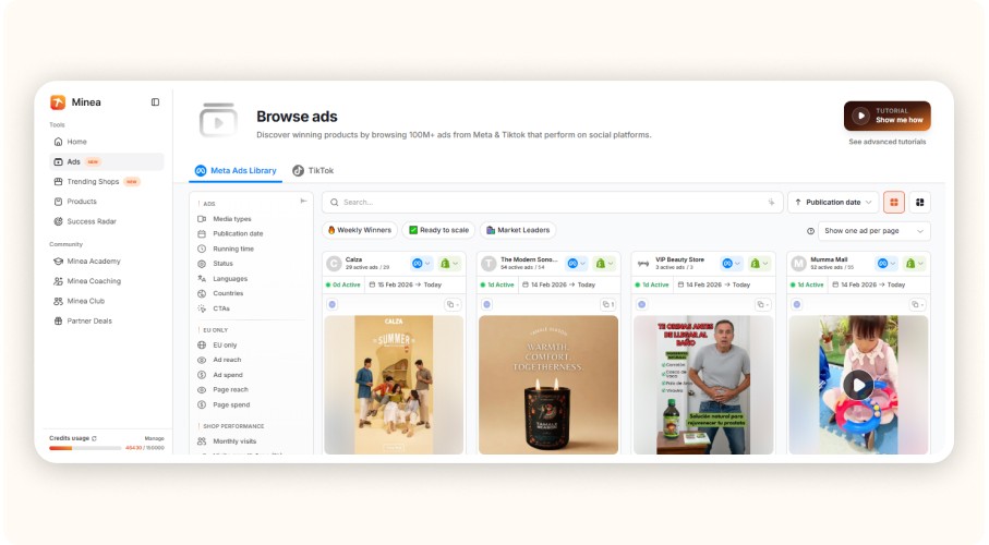 Minea Ads Library interface