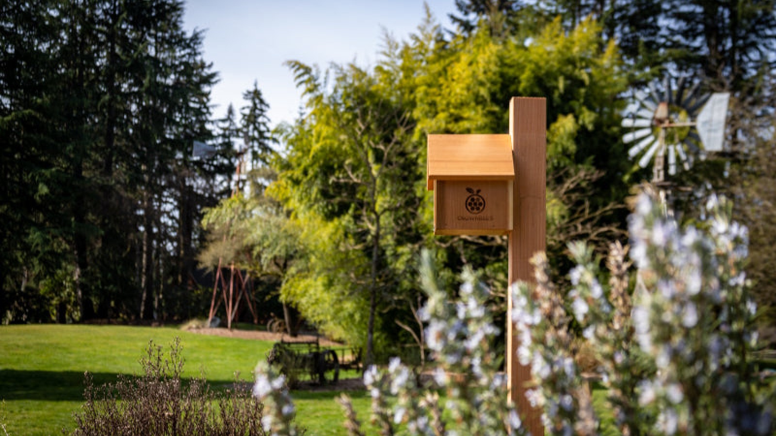 Big Challenges Image