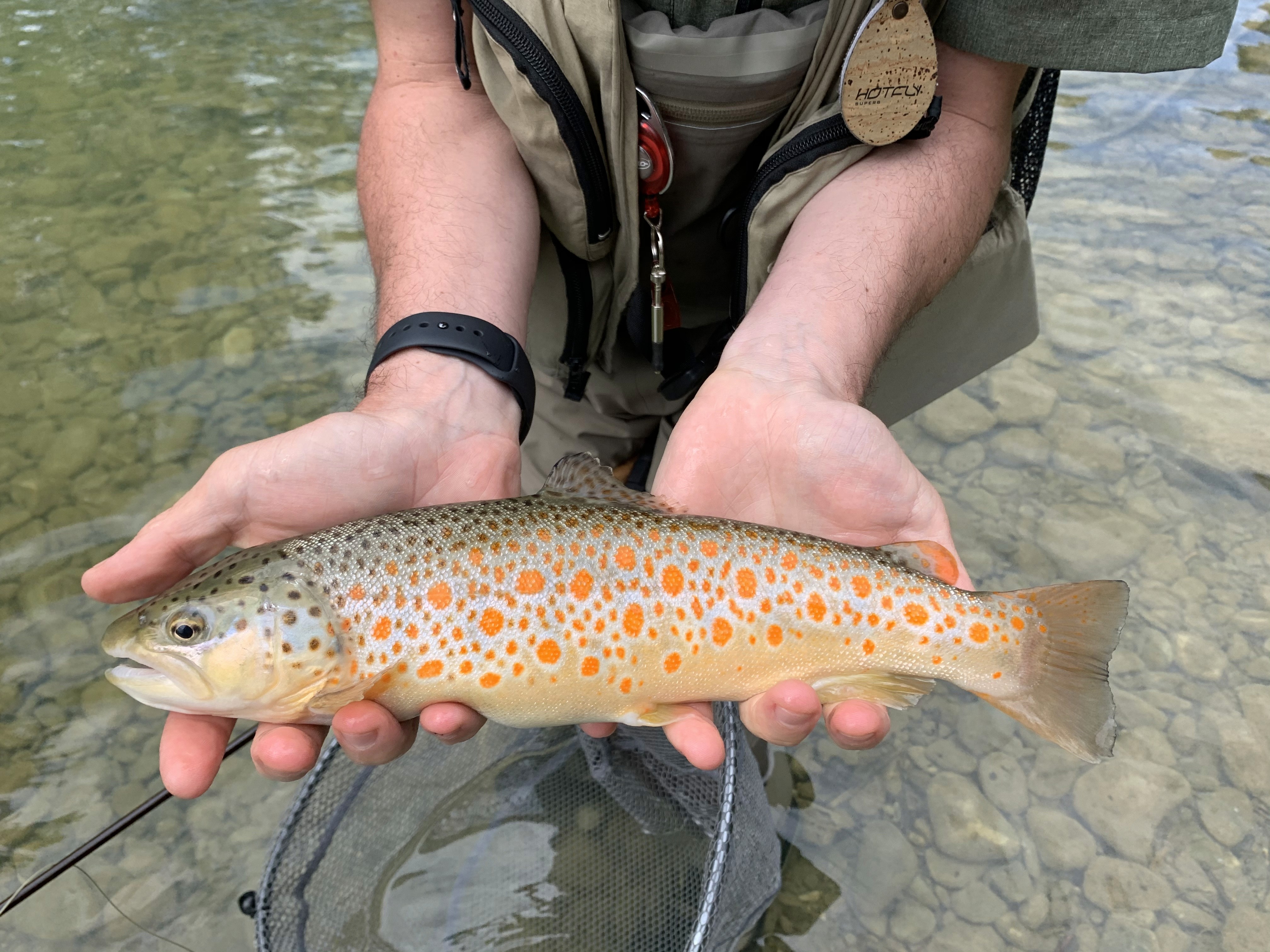 Fly fish on the Tiber River in Tuscany with expert guides. Enjoy trout fishing in beautiful central Italy and savor delicious food and wine. Learn dry fly, streamer, and nymph fishing techniques. Perfect for an exquisite Italian excursion.