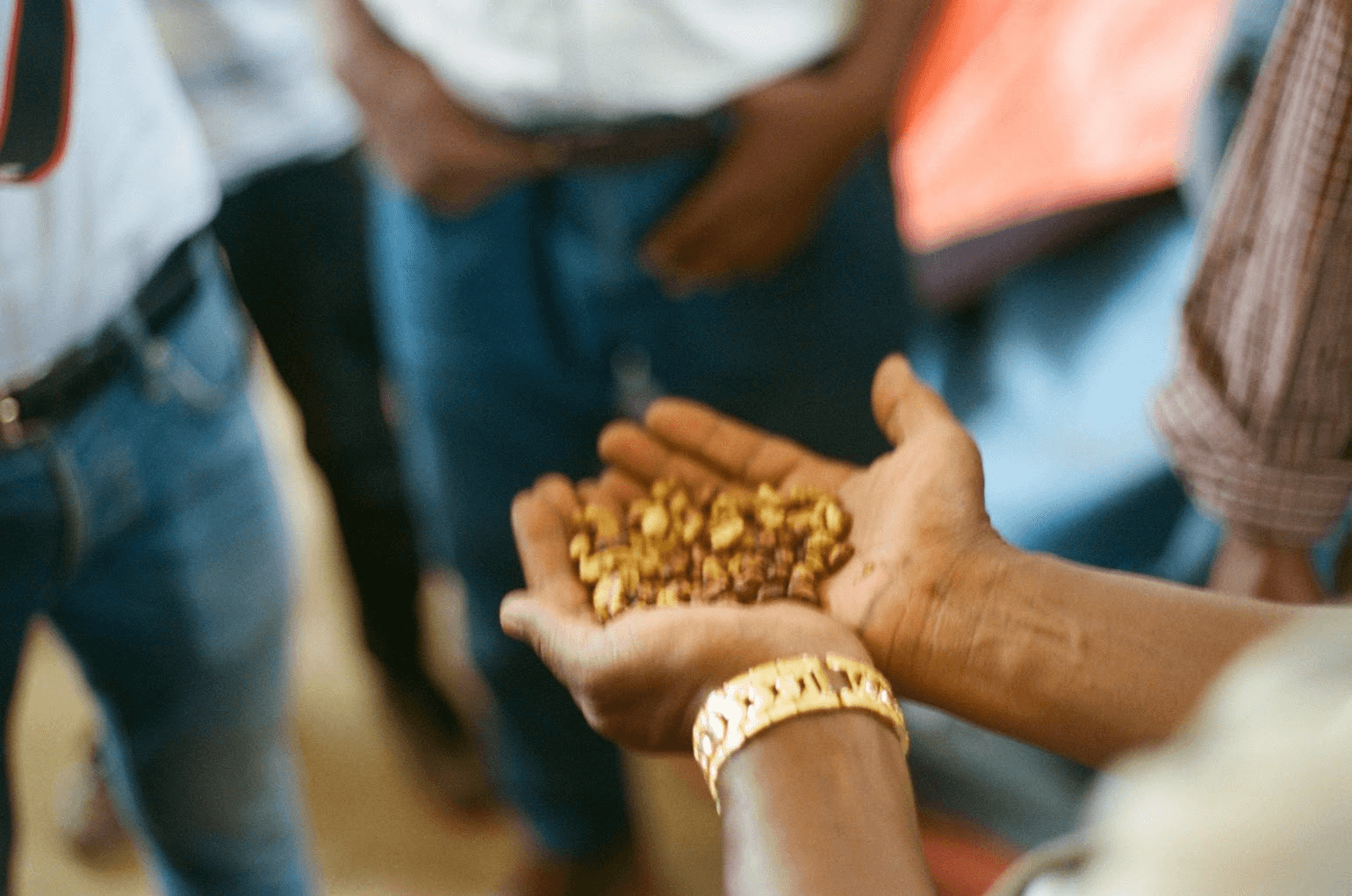 Hands holding coffee beans for inspection, surrounded by people in a relaxed setting