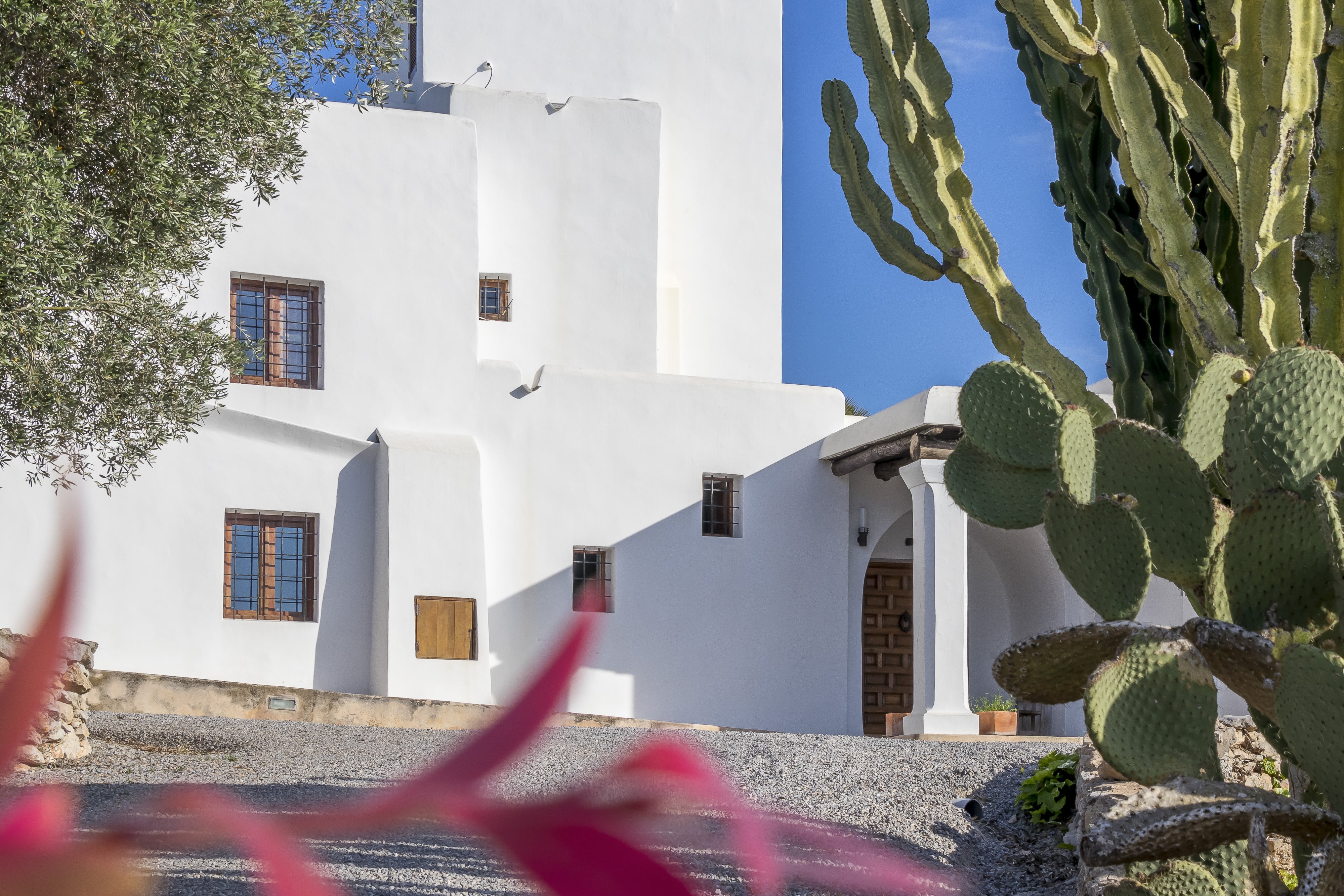 White House Main Entrance with Cactus