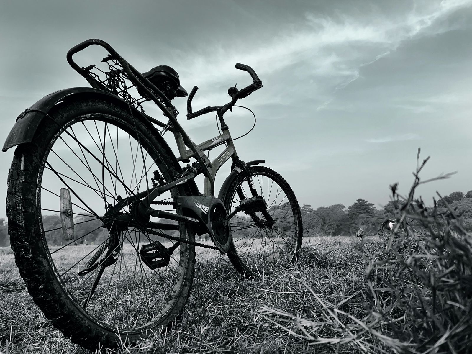 product-liability-holding-manufacturers-accountable-bicycle