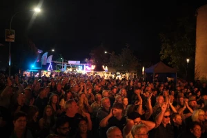 Menschen auf der Straße bei Nacht, Fahnen und Lichter über dem Fest.