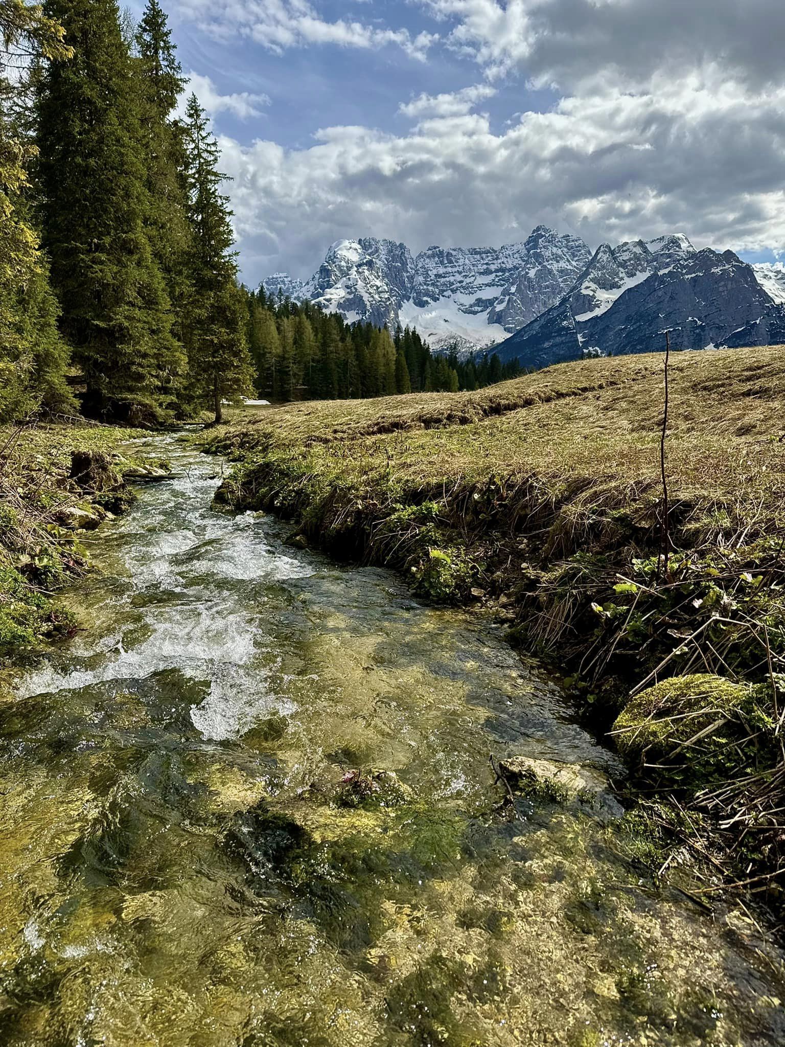 Discover the art of tenkara fishing for brown trout in the Dolomites near Venice, northern Italy. Learn traditional techniques from expert guides and catch trout in picturesque alpine waters. Ideal for a serene and memorable Italian fishing getaway.