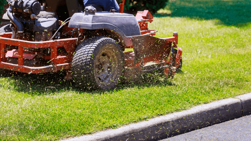 Professional Lawn Care