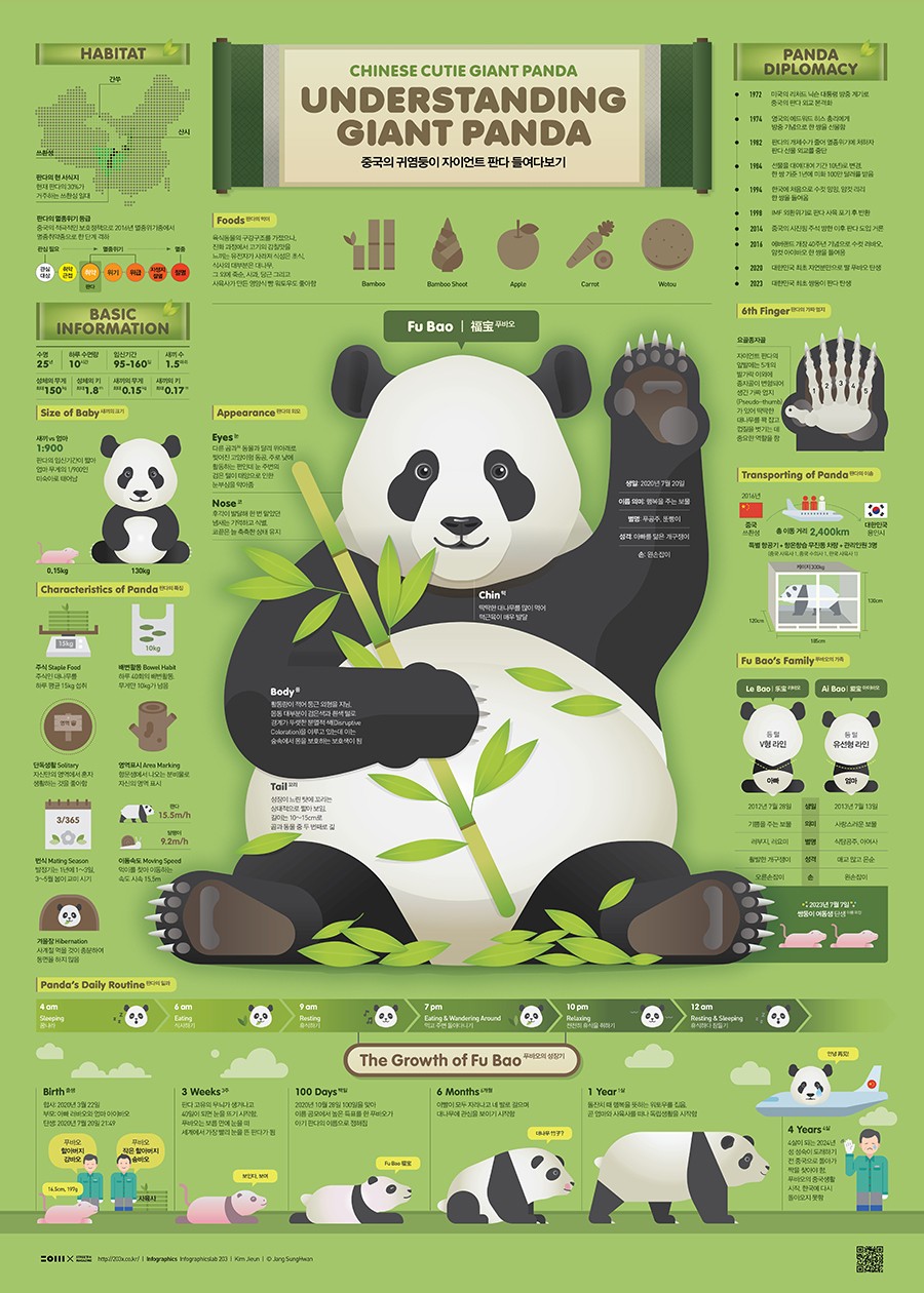 大熊猫信息图表